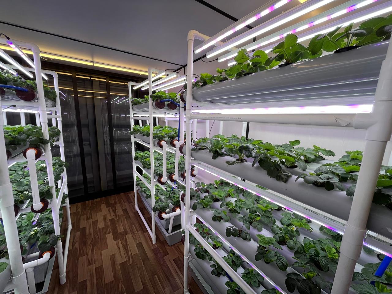 Farm interior — growing systems